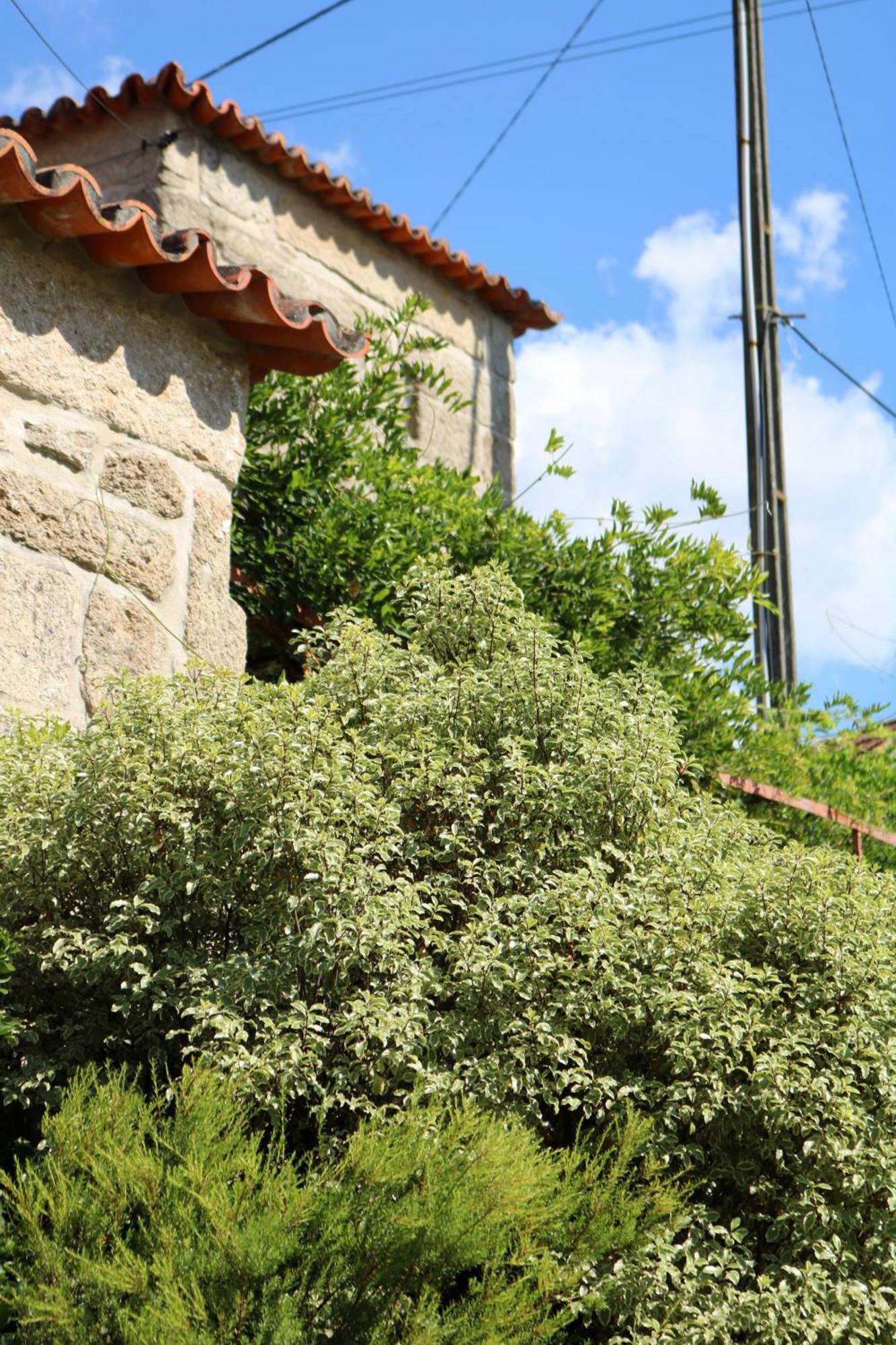 Casa Da Eira Villa Marco de Canavezes Dış mekan fotoğraf